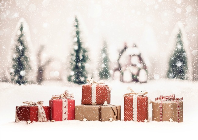 Holiday Gift Guide for Travelers